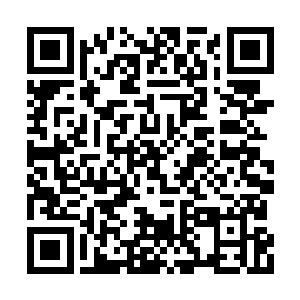 此时此刻阮荷黎正在苏墨尘家的厨房里忙上忙下二维码生成