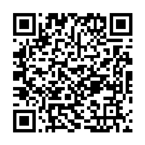 此时的他一身范哲思首席设计师亲手量身打造的正装西服二维码生成