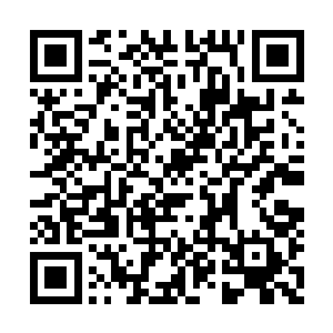 此时的仙道流也意识到了我们试图入侵他的灵魂二维码生成