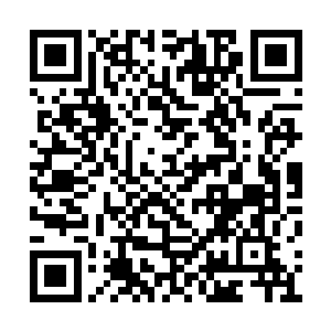 此时的地面已经和池佳一当初见到的变了个样子二维码生成