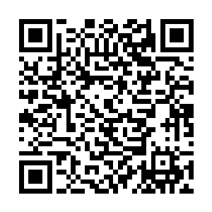 此时的大长老在气势上显然就已经差了杨戬不止一筹二维码生成