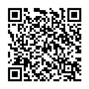 此时的天船上面的人已经发现了葬花宫宫主的存在二维码生成