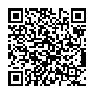 此时的宇碧莲的气质可以说是发生了天翻地覆的变化二维码生成