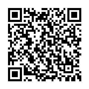 此时的楚门就好像在冰面上缓缓行走的狐狸一般二维码生成