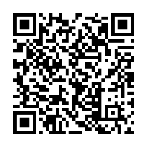 此时的联军炮兵阵地上的大炮又开始了疯狂的发射二维码生成