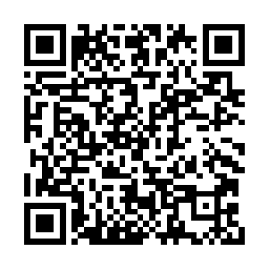 此时的芥子空间内就剩下了许紫烟和落阳两个人二维码生成