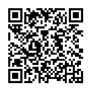 此时的蛮苍跟龙傲天第一次见到的时候简直有着天壤之别二维码生成