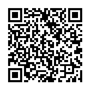此时的许紫烟倒是十分地认真地向着云鹤仙子施礼道二维码生成