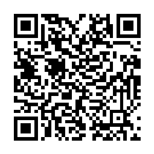 此时的赵纯良根本就懒得去管这些虫子到底会不会咬他二维码生成