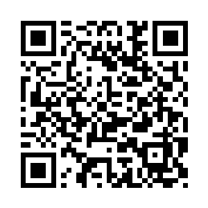 此时的锤子真的是进入超级辅助的状态二维码生成