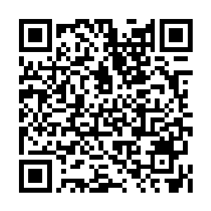 此时的长发黑鬼面色冰冷的看着对面的上古巨兽二维码生成