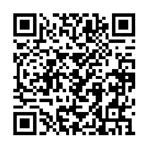 此时的龙傲天正在躲避王者神兽胡乱发动的攻击二维码生成