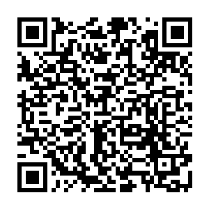 此时看着前几天才拿了冠军奖杯意气风发snake战队被一个毫无名气的家伙吊打二维码生成