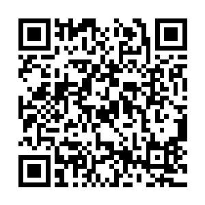 此时真元的运行更加凝滞――虽然表面看着没有伤二维码生成