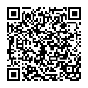 此时站在红地毯前段的记者们都已经看到了刚刚出现在人们面前的那个身影二维码生成