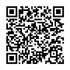 此时竟无比乖顺的漂浮在两团青色剑灵光球之内二维码生成
