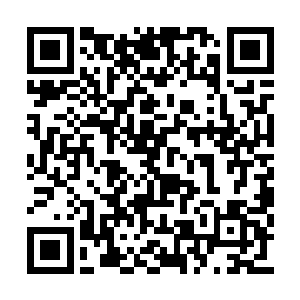 此时见到李锐更是直接欢快的蹦到了李锐的身上二维码生成