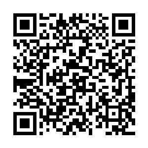 此时距离当初梓箐进入任务世界已经过去两年多时间……二维码生成