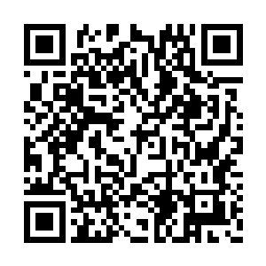此时还饶有兴致地看着玄成真人高高抬起的手掌二维码生成