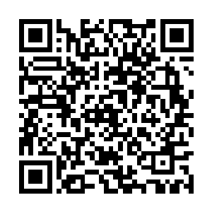 此时那个大队长刚刚带人冲到夏天刚才杀人的地方二维码生成
