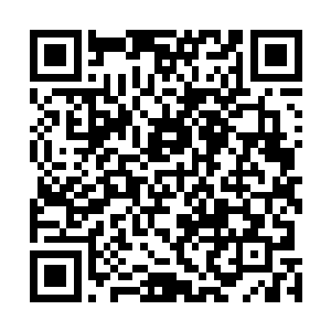 此时那山头帅帐中正聚集了一名三头蛟妖王和十三名妖帅二维码生成