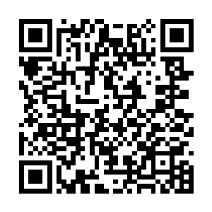 此时雪家的一百个要进入血海的修士都坐在酒楼内二维码生成