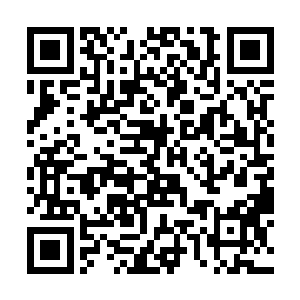 此时霍君白不受自己意识控制的双眼怔怔的瞧着虞柔二维码生成