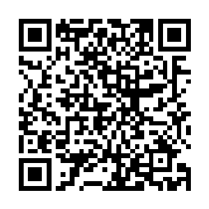 此时马天风和陈雷看着这一具具从别墅内拖出来的尸体二维码生成