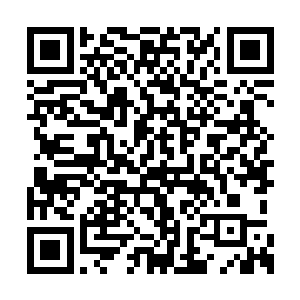 此时龙傲天带着风翔牢两个人一路飞越了亿万甲二维码生成