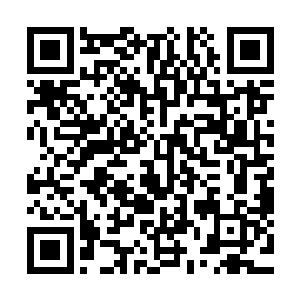 此时龙傲天的元神在大道本源之力的洗礼之下直接发生了蜕变二维码生成