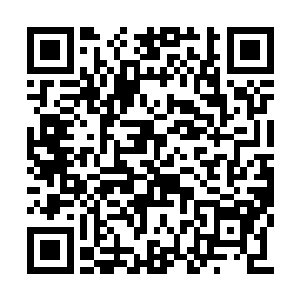 此次卑职可是代表了整个后燕的朝廷来探望王的二维码生成