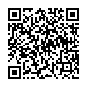 此灵器的等阶根本不是这些炼虚境界的修饰可以使用的二维码生成