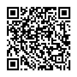 此物乃是主人集合了大量的冰焰和冰灵萃取炼制而成二维码生成