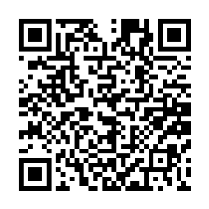 此轮能有人参与怕也是因为这十株仙草的年份达到了五千年二维码生成