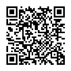 武建这次的确有非常重大的事情要向国王陛下禀告二维码生成