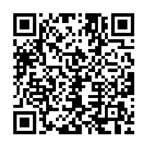 武当大真人俞兴瑞已经动身去增援毛舒朗嵇六安两位南疆宗师二维码生成