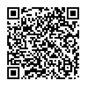 武田智其实已经抓到了白金石魔在某些特定动作下的反应和行动规律二维码生成