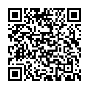 武英奇借口向血神子汇报过去几十年的所作所为二维码生成