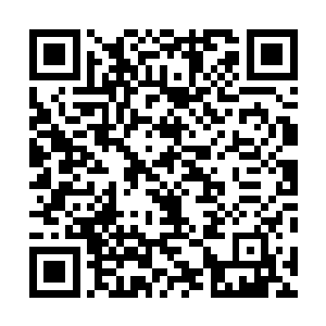 武道世界的战斗力最主流的战斗力判断方法第一是攻击力二维码生成