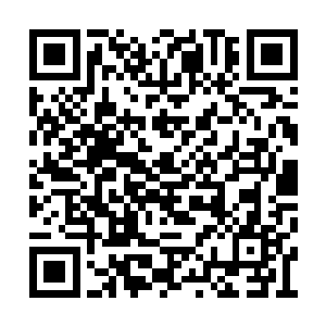武魂圣殿的人估计知道是拥有轮回武魂的人出力二维码生成