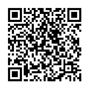 死三棵我毁三棵……反正我那边若是出事肯定没什么好下场二维码生成