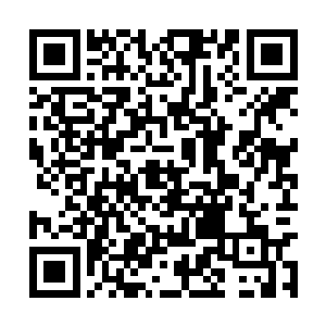 死啦……死在上一个副本里啦……呜呜呜呜呜……二维码生成