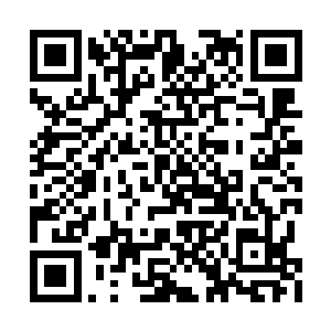 死在他手上的修仙者和爪牙不计其数――这一点二维码生成