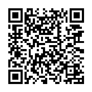 死在雷林手上的三名学徒都是对方学院的巫师种子二维码生成