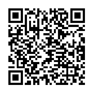 死域大陆已经很久没有出现过像您这么年轻而强大的强者了……二维码生成