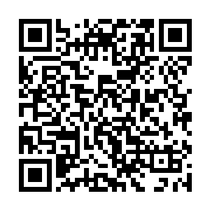 殊不知他无论多么的努力始终还是被司马懿压上一头二维码生成