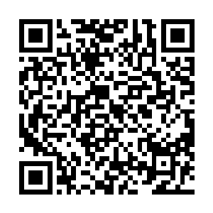 殊不知其他修者早就看呆了居然敢连杀兽人的玉仙和天仙二维码生成