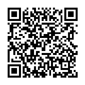 残余的黑暗战士瞬间只觉得撞上了一堵金属墙壁二维码生成