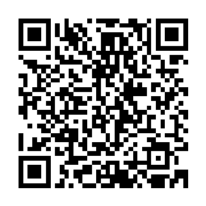 残留在体内的那些丹药药力以及灵石中的元气正在体内迅速运转二维码生成