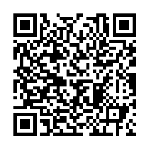 殷玉婉会不会怀疑傻蛋怎的好好的对付起三大势力二维码生成